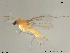  ( - XL547)  @12 [ ] CreativeCommons - Attribution Non-Commercial Share-Alike (2016) NTNU University Museum, Department of Natural History NTNU University Museum, Department of Natural History