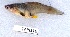  ( - MOH110)  @11 [ ] Copyright (2017) PHCDBS PAUL HEBERT CENTRE FOR DNA BARCODING AND BIODIVERSITY STUDIES