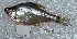  ( - TPRAN 723)  @11 [ ] Copyright (2017) PHCDBS PAUL HEBERT CENTRE FOR DNA BARCODING AND BIODIVERSITY STUDIES