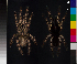  (Poecilotheria formosa - BIOGU00532-F07)  @15 [ ] CreativeCommons - Attribution (2014) Michael Morra Centre for Biodiversity Genomics