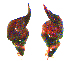  ( - BL-1036X3-A10)  @11 [ ] CreativeCommons - Attribution (2016) Michael Morra Centre for Biodiversity Genomics