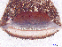  ( - BIOGU00532-G02)  @11 [ ] CreativeCommons - Attribution (2016) Michael Morra Centre for Biodiversity Genomics