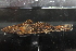  ( - RTNC_028)  @11 [ ] CreativeCommons - Attribution Non-Commercial Share-Alike (2021) NICOLAS CHARPIN Museum National d'Histoire Naturelle, Paris