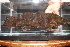  ( - RTNC_038)  @11 [ ] CreativeCommons - Attribution Non-Commercial Share-Alike (2021) NICOLAS CHARPIN Museum National d'Histoire Naturelle, Paris