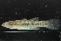  ( - RTNC_138)  @11 [ ] CreativeCommons - Attribution Non-Commercial Share-Alike (2021) Charpin Nicolas Museum National d'Histoire Naturelle, Paris