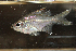  ( - RTNC_305)  @11 [ ] CreativeCommons - Attribution Non-Commercial Share-Alike (2022) Charpin Nicolas Museum National d'Histoire Naturelle, Paris