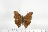  ( - BC-TB6933)  @12 [ ] Copyright (2010) Thierry Bouyer Research Collection of Thierry Bouyer