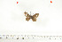  ( - BC-TB6955)  @12 [ ] Copyright (2010) Thierry Bouyer Research Collection of Thierry Bouyer