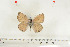  ( - BC-TB7013)  @13 [ ] Copyright (2010) Thierry Bouyer Research Collection of Thierry Bouyer