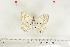  ( - BC-TB7016)  @13 [ ] Copyright (2010) Thierry Bouyer Research Collection of Thierry Bouyer