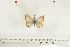  ( - BC-TB7034)  @11 [ ] Copyright (2010) Thierry Bouyer Research Collection of Thierry Bouyer