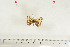  ( - BC-TB7062)  @13 [ ] Copyright (2010) Thierry Bouyer Research Collection of Thierry Bouyer