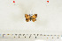  ( - BC-TB7063)  @13 [ ] Copyright (2010) Thierry Bouyer Research Collection of Thierry Bouyer
