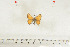  ( - BC-TB7064)  @12 [ ] Copyright (2010) Thierry Bouyer Research Collection of Thierry Bouyer