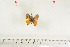  ( - BC-TB7095)  @12 [ ] Copyright (2010) Thierry Bouyer Research Collection of Thierry Bouyer