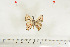  ( - BC-TB7096)  @12 [ ] Copyright (2010) Thierry Bouyer Research Collection of Thierry Bouyer
