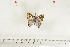  ( - BC-TB7100)  @12 [ ] Copyright (2010) Thierry Bouyer Research Collection of Thierry Bouyer