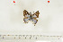  ( - BC-TB7101)  @12 [ ] Copyright (2010) Thierry Bouyer Research Collection of Thierry Bouyer