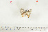  ( - BC-TB7110)  @12 [ ] Copyright (2010) Thierry Bouyer Research Collection of Thierry Bouyer