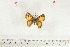  ( - BC-TB7111)  @12 [ ] Copyright (2010) Thierry Bouyer Research Collection of Thierry Bouyer