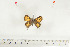  ( - BC-TB7112)  @12 [ ] Copyright (2010) Thierry Bouyer Research Collection of Thierry Bouyer