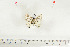  ( - BC-TB7113)  @12 [ ] Copyright (2010) Thierry Bouyer Research Collection of Thierry Bouyer
