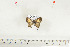 ( - BC-TB7115)  @13 [ ] Copyright (2010) Thierry Bouyer Research Collection of Thierry Bouyer
