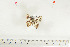  ( - BC-TB7117)  @13 [ ] Copyright (2010) Thierry Bouyer Research Collection of Thierry Bouyer