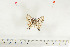  ( - BC-TB7118)  @13 [ ] Copyright (2010) Thierry Bouyer Research Collection of Thierry Bouyer