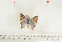  ( - BC-TB7126)  @12 [ ] Copyright (2010) Thierry Bouyer Research Collection of Thierry Bouyer