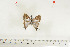  ( - BC-TB7128)  @12 [ ] Copyright (2010) Thierry Bouyer Research Collection of Thierry Bouyer