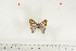  ( - BC-TB7138)  @13 [ ] Copyright (2010) Thierry Bouyer Research Collection of Thierry Bouyer