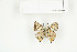  ( - BC-TB7700)  @13 [ ] Copyright (2010) Thierry Bouyer Research Collection of Philippe Leonard