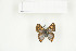  ( - BC-TB7705)  @13 [ ] Copyright (2010) Thierry Bouyer Research Collection of Philippe Leonard