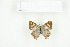  ( - BC-TB7708)  @13 [ ] Copyright (2010) Thierry Bouyer Research Collection of Philippe Leonard