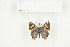  ( - BC-TB7712)  @13 [ ] Copyright (2010) Thierry Bouyer Research Collection of Philippe Leonard