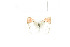  ( - BC-TB7778)  @11 [ ] Copyright (2010) Thierry Bouyer Research Collection of Philippe Leonard