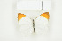 ( - BC-TB7790)  @13 [ ] Copyright (2010) Thierry Bouyer Research Collection of Philippe Leonard