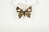  ( - BC-TB7871)  @12 [ ] Copyright (2010) Thierry Bouyer Research Collection of Alain Drumont