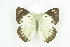  ( - BC-TB8699)  @14 [ ] Copyright (2012) Thierry Bouyer Research Collection of Thierry Bouyer