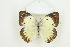  ( - BC-TB8700)  @14 [ ] Copyright (2012) Thierry Bouyer Research Collection of Thierry Bouyer