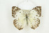  ( - BC-TB8701)  @15 [ ] Copyright (2012) Thierry Bouyer Research Collection of Thierry Bouyer