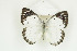  ( - BC-TB8709)  @14 [ ] Copyright (2012) Thierry Bouyer Research Collection of Thierry Bouyer