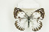  ( - BC-TB8768)  @13 [ ] Copyright (2012) Thierry Bouyer Research Collection of Thierry Bouyer