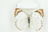  ( - BC-TB8769)  @14 [ ] Copyright (2012) Thierry Bouyer Research Collection of Thierry Bouyer