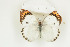  ( - BC-TB8770)  @14 [ ] Copyright (2012) Thierry Bouyer Research Collection of Thierry Bouyer