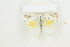  ( - BC-TB8787)  @13 [ ] Copyright (2012) Thierry Bouyer Research Collection of Thierry Bouyer