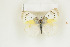  ( - BC-TB8795)  @14 [ ] Copyright (2012) Thierry Bouyer Research Collection of Thierry Bouyer
