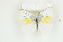 ( - BC-TB8797)  @14 [ ] Copyright (2012) Thierry Bouyer Research Collection of Thierry Bouyer