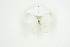  ( - BC-TB8927)  @12 [ ] Copyright (2012) Thierry Bouyer Research Collection of Thierry Bouyer